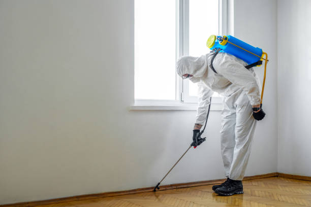 Professional Pest control in Bryn Mawr, PA